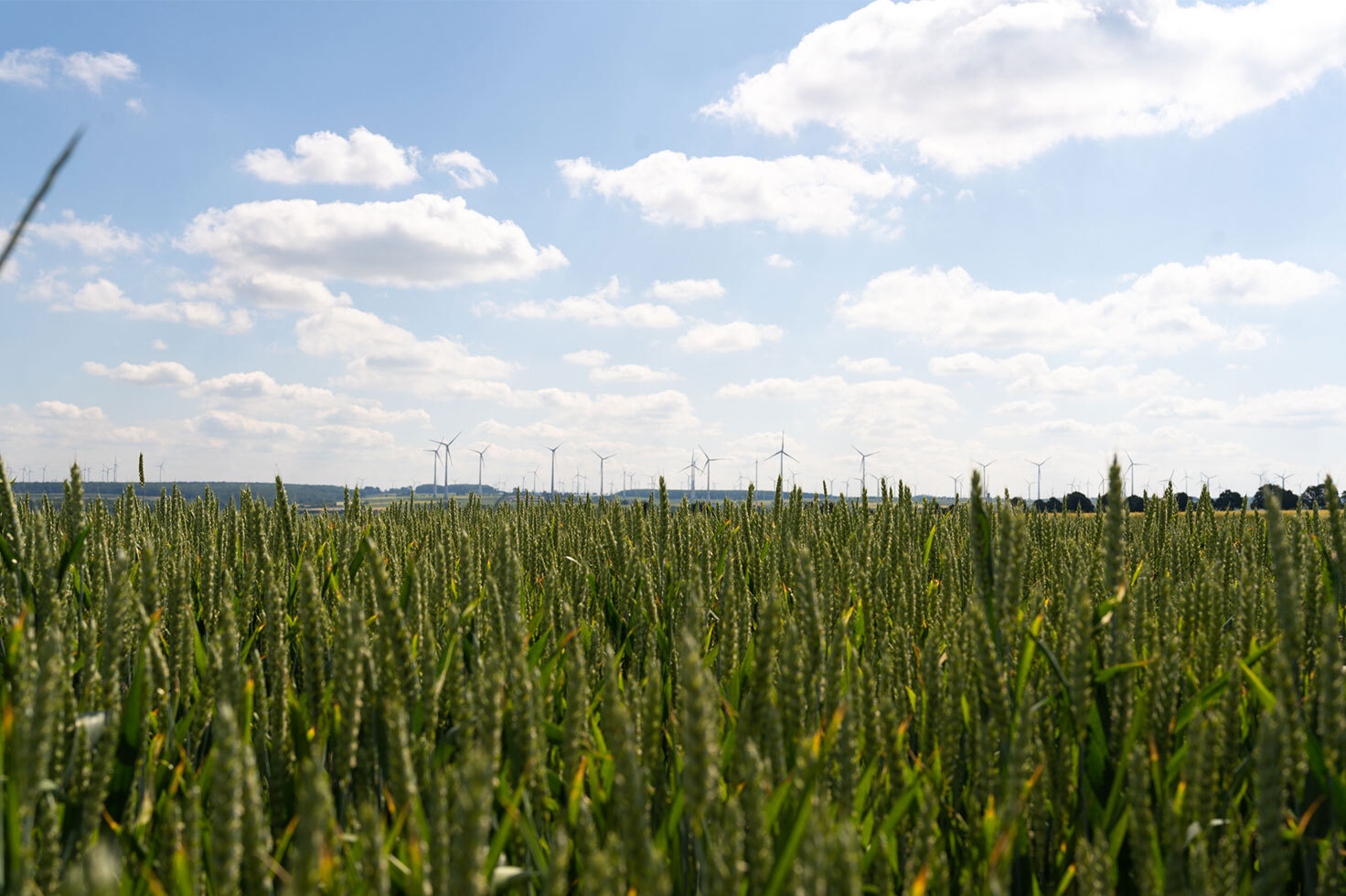 windkraft landeigentuemer